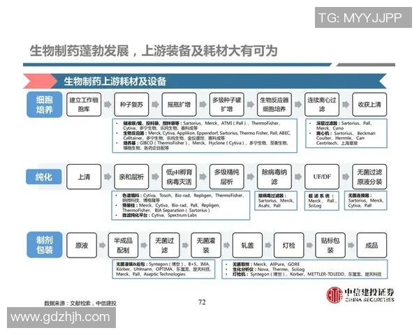 深圳足球队与西安足球队赛后复盘分析意识与战术的深度探讨